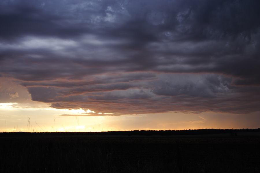 sunset sunset_pictures : ~ 40km N of Inglewood, QLD   13 January 2007