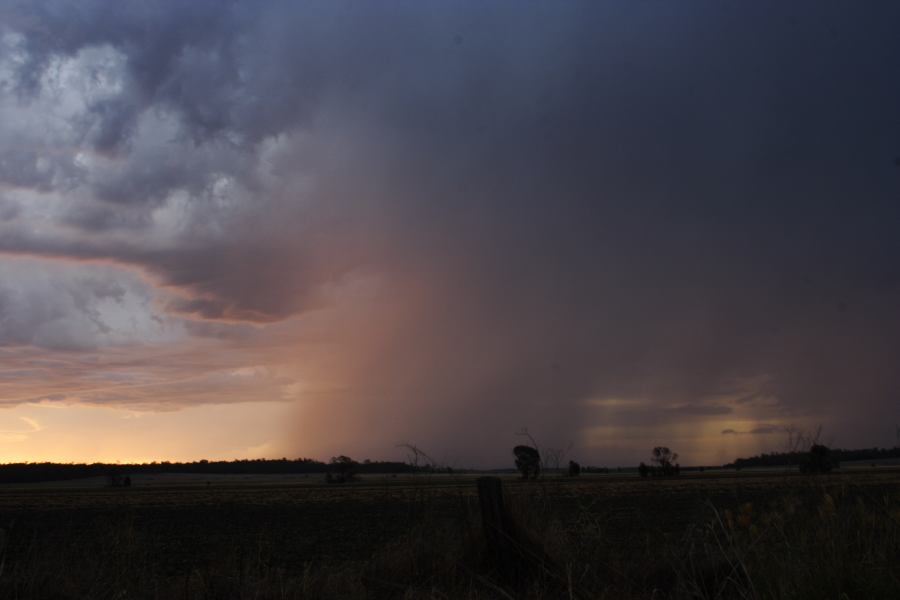 raincascade precipitation_cascade : ~ 40km N of Inglewood, QLD   13 January 2007