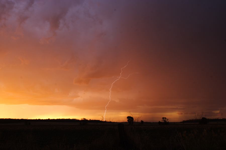 sunset sunset_pictures : ~ 40km N of Inglewood, QLD   13 January 2007