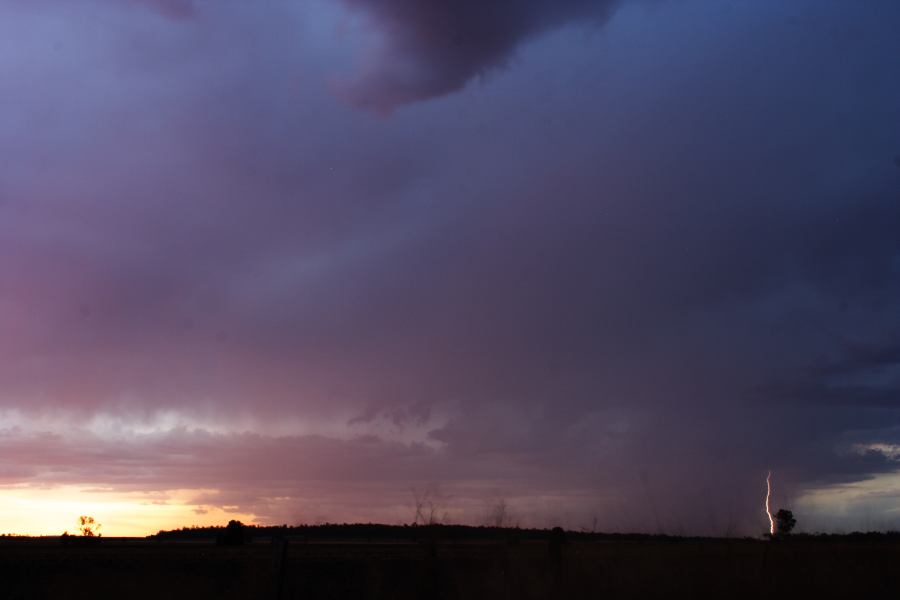 lightning lightning_bolts : ~ 40km N of Inglewood, QLD   13 January 2007