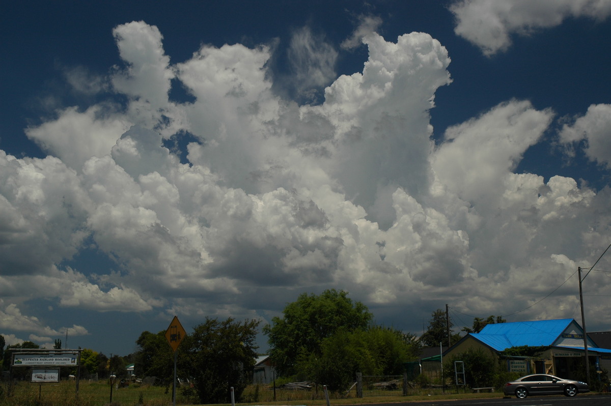 cumulus congestus : Deepwater, NSW   13 January 2007