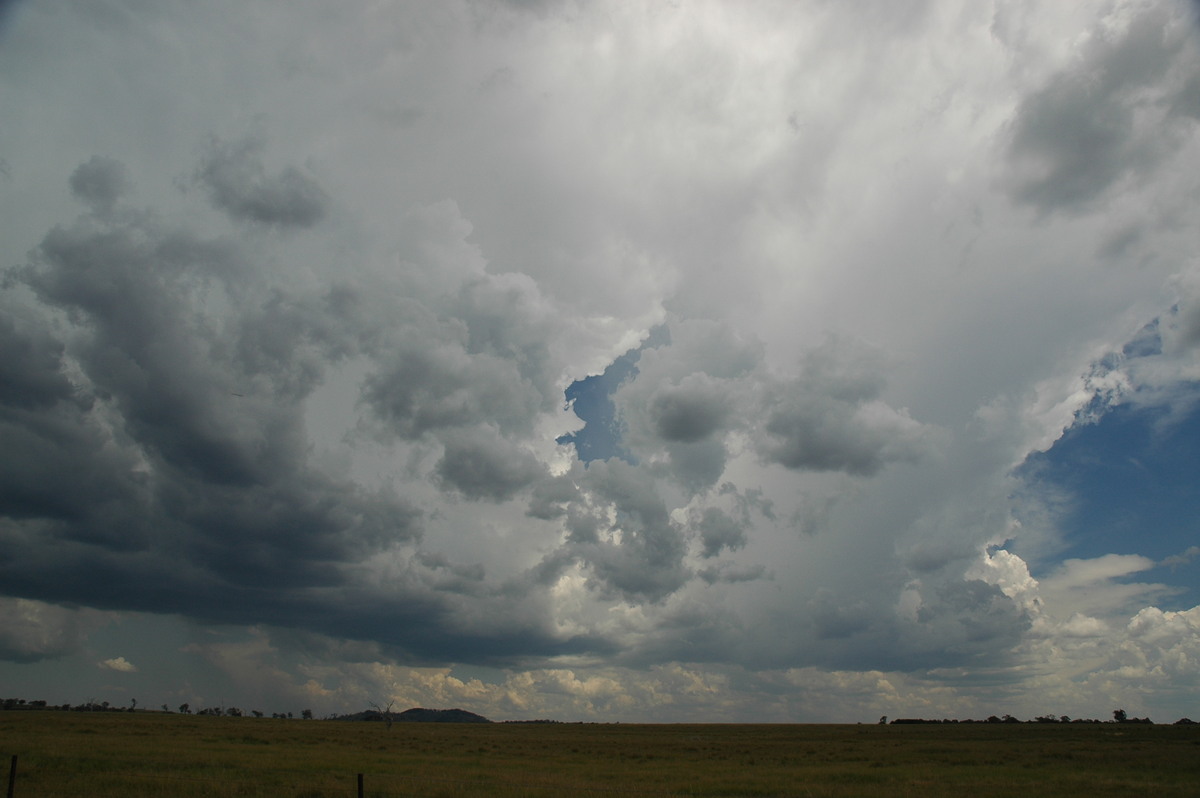 thunderstorm cumulonimbus_incus : Deepwater, NSW   13 January 2007