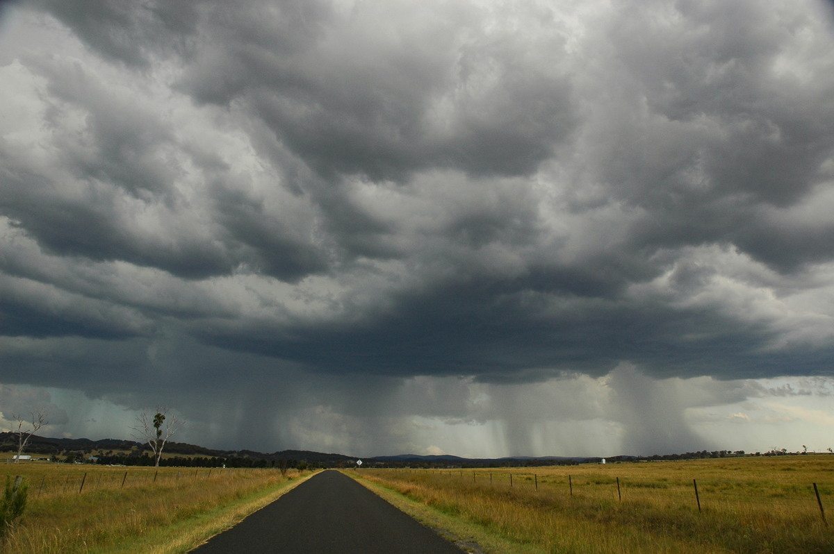 raincascade precipitation_cascade : Deepwater, NSW   13 January 2007