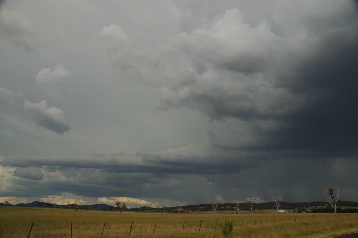 inflowband thunderstorm_inflow_band : Deepwater, NSW   13 January 2007