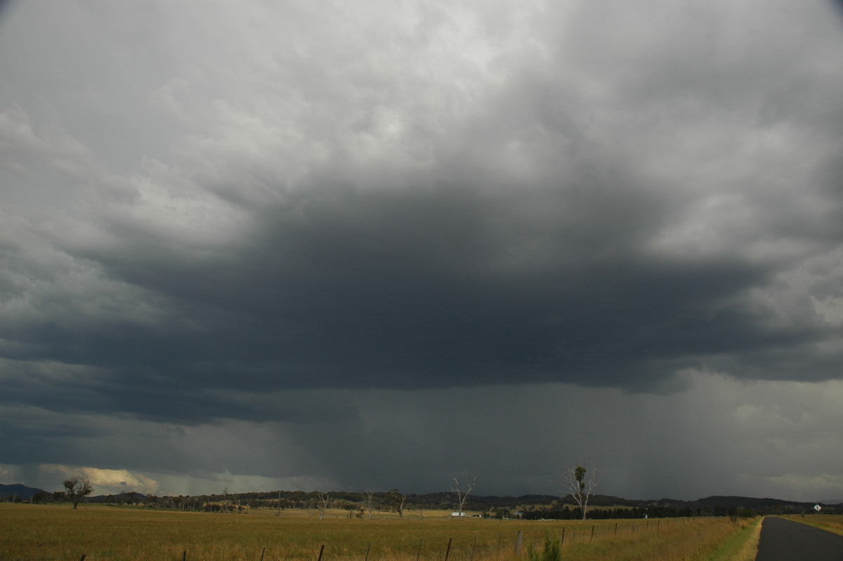 cumulonimbus thunderstorm_base : Deepwater, NSW   13 January 2007