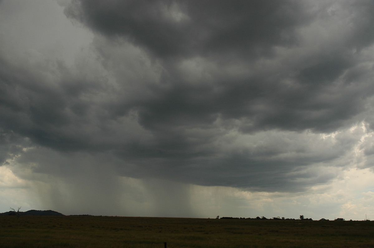 cumulonimbus thunderstorm_base : Deepwater, NSW   13 January 2007