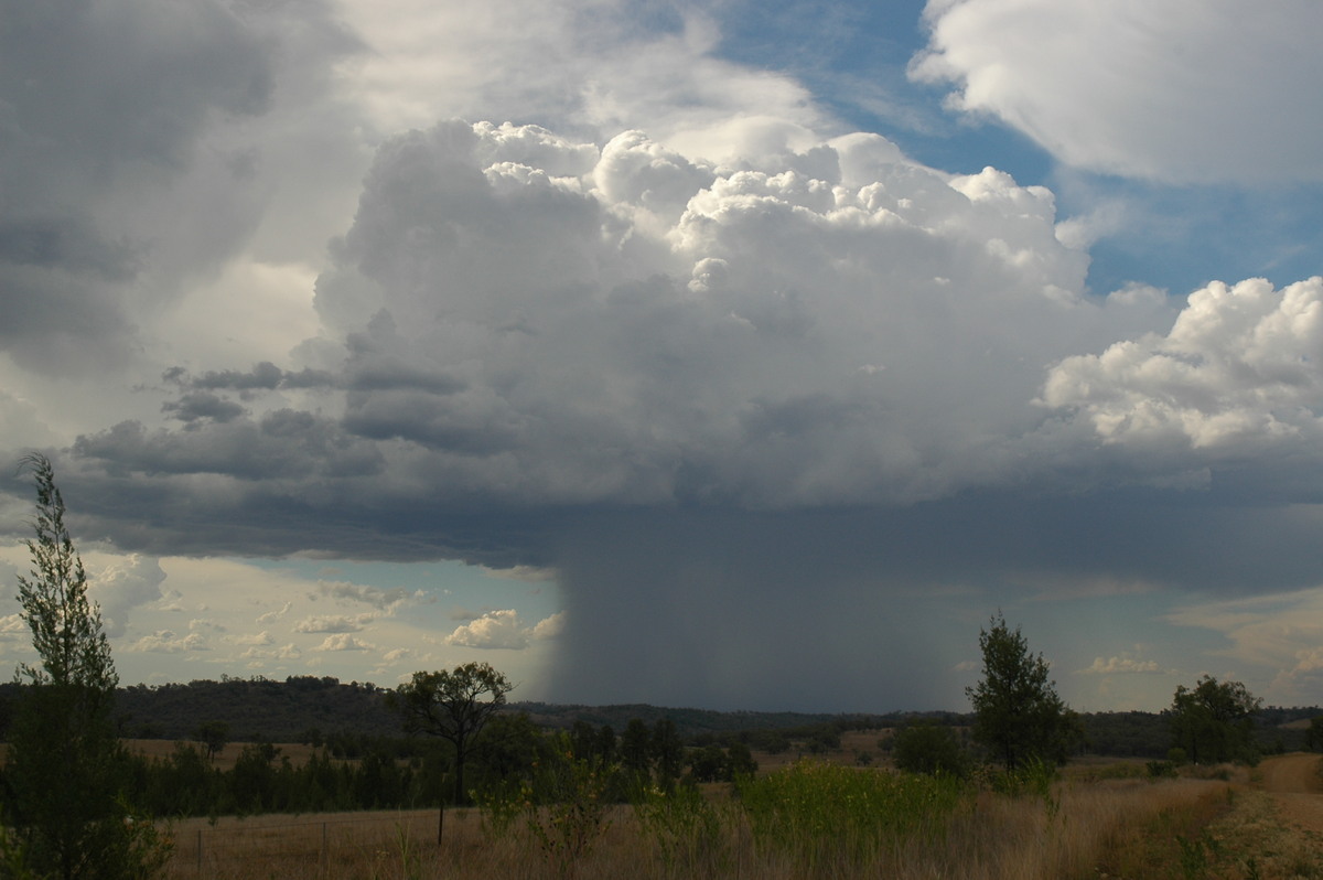 pileus pileus_cap_cloud : near Bonshaw, NSW   13 January 2007