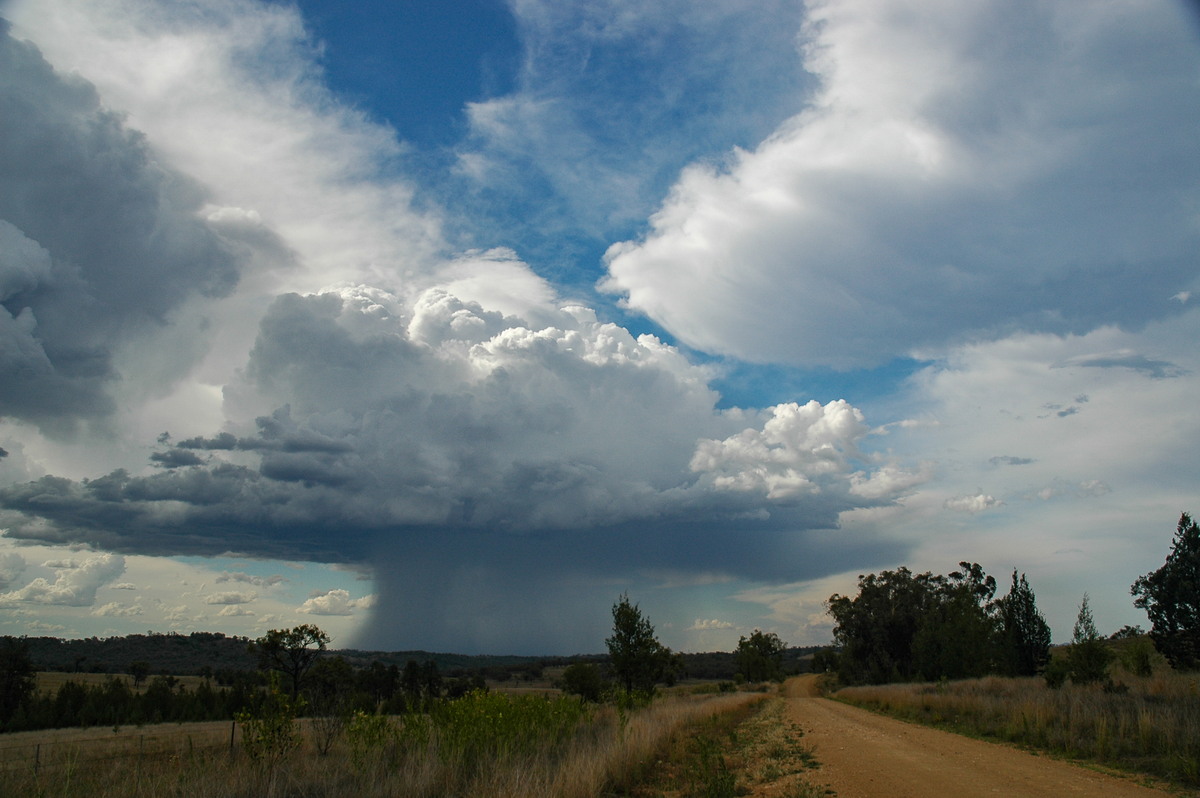 anvil thunderstorm_anvils : near Bonshaw, NSW   13 January 2007