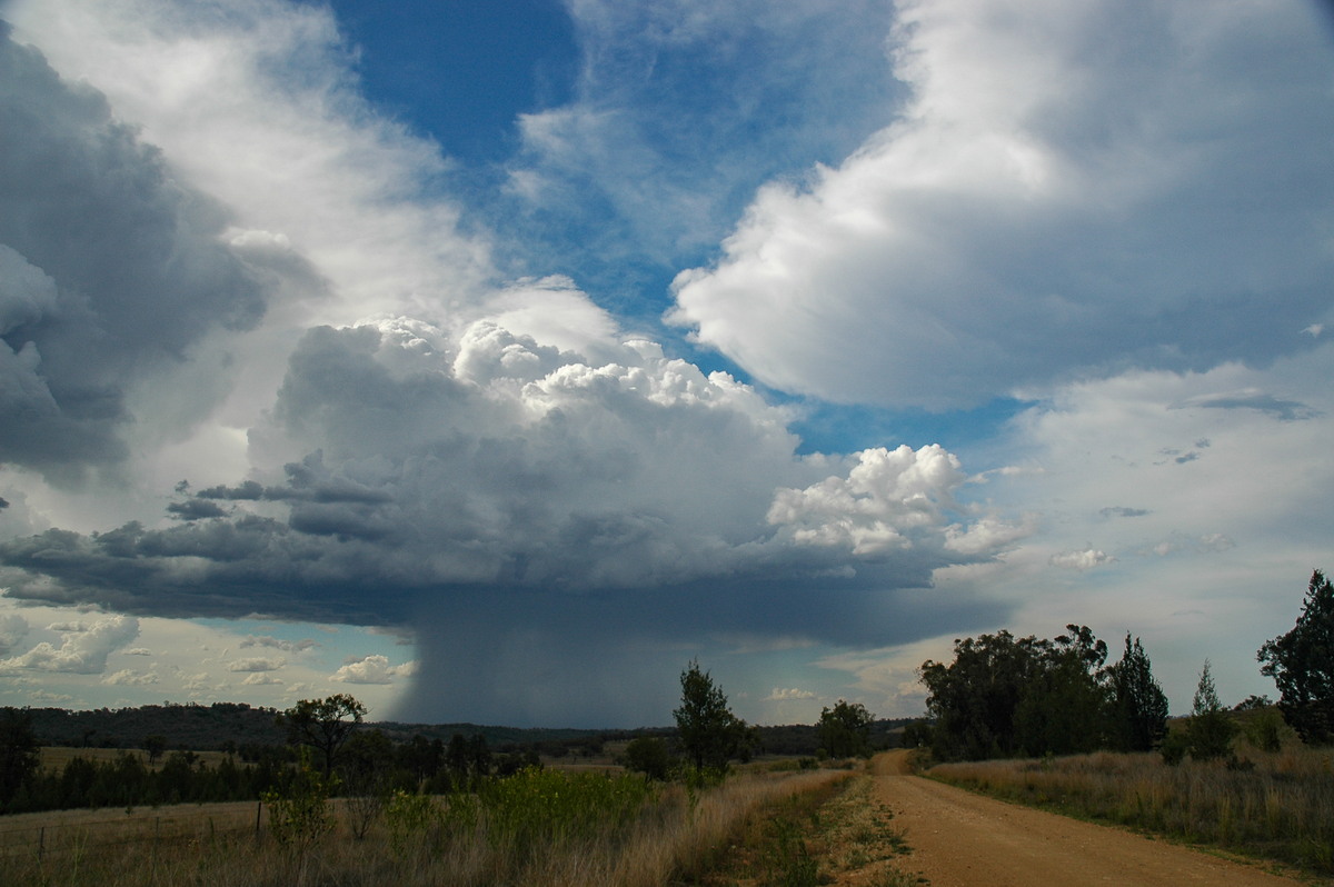 thunderstorm cumulonimbus_calvus : near Bonshaw, NSW   13 January 2007