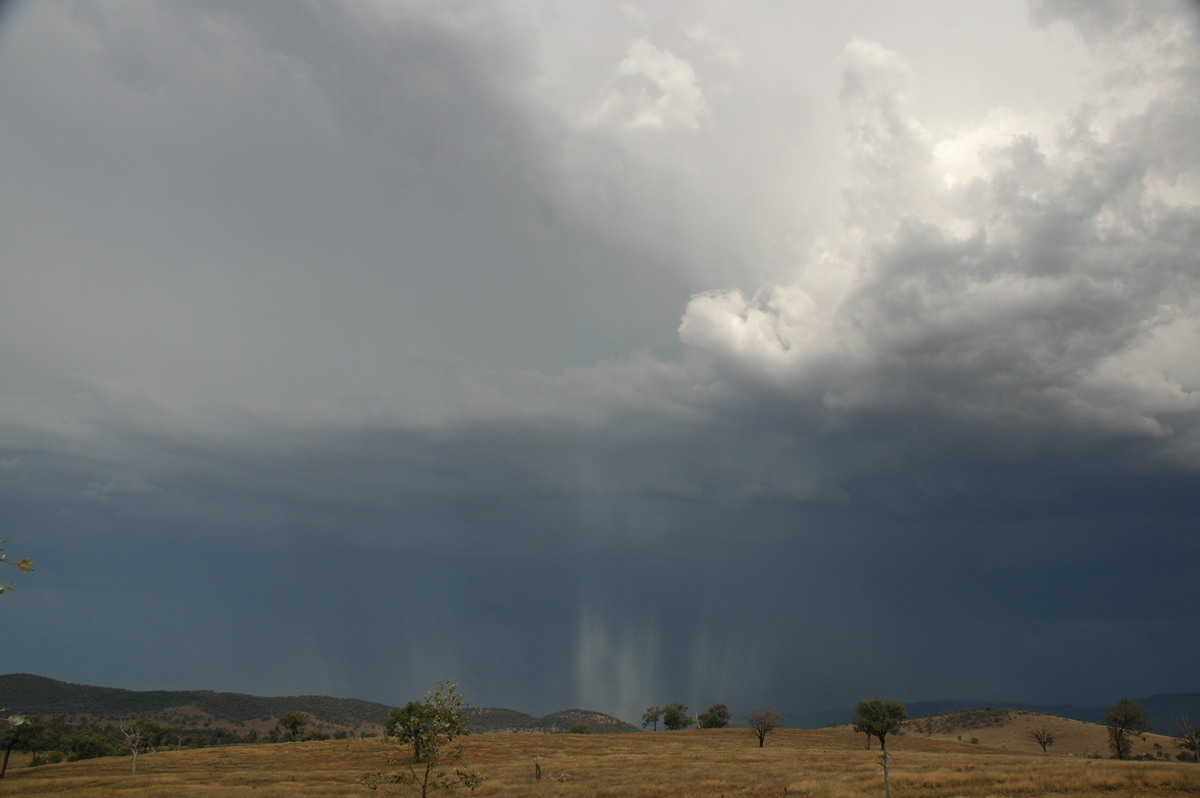 halosundog halo_sundog_crepuscular_rays : near Bonshaw, NSW   13 January 2007