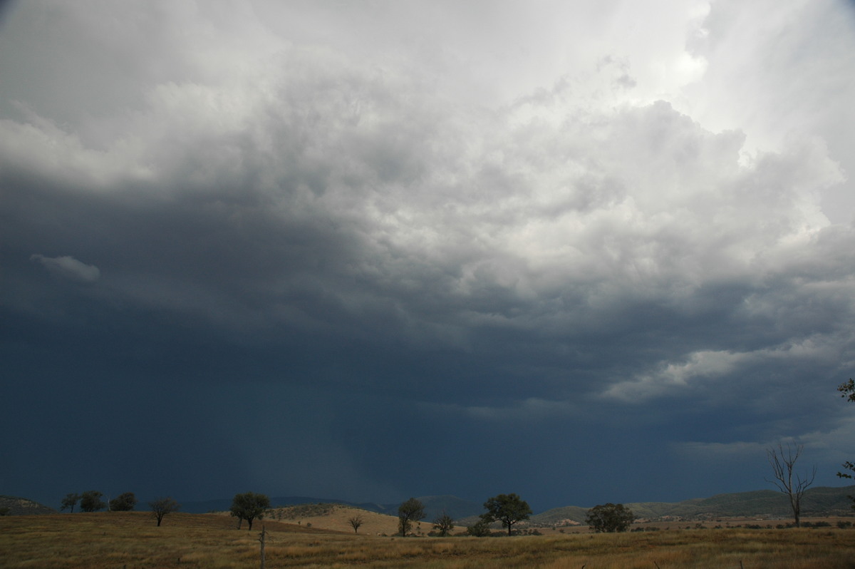 cumulonimbus thunderstorm_base : near Bonshaw, NSW   13 January 2007