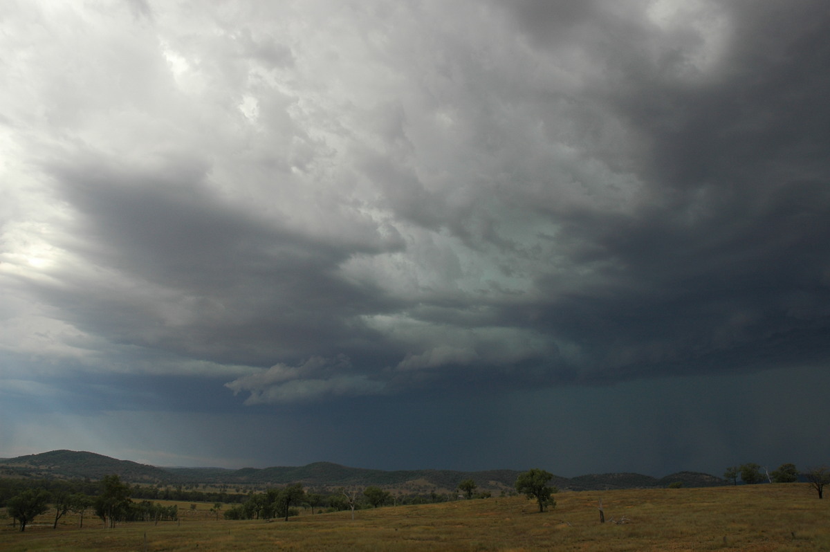 cumulonimbus thunderstorm_base : near Bonshaw, NSW   13 January 2007