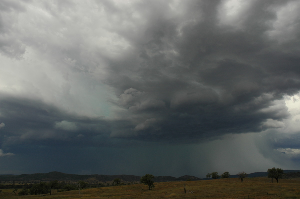 cumulonimbus thunderstorm_base : near Bonshaw, NSW   13 January 2007