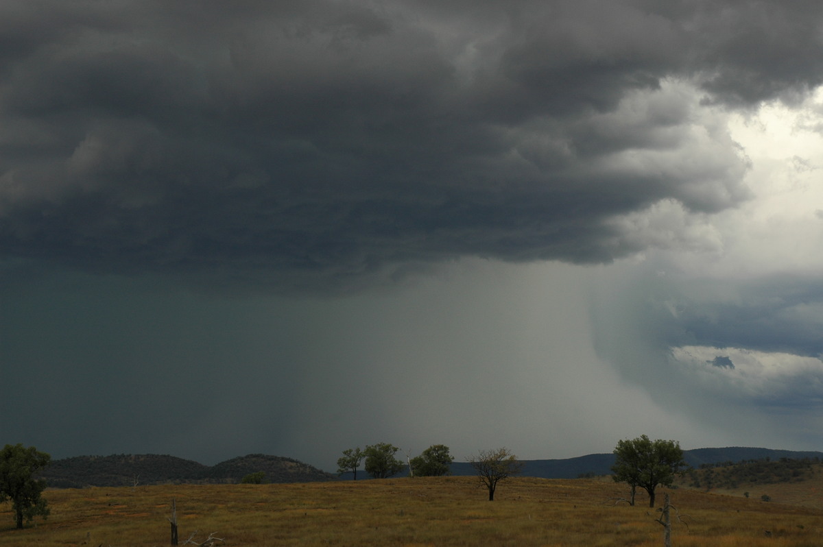 microburst micro_burst : near Bonshaw, NSW   13 January 2007