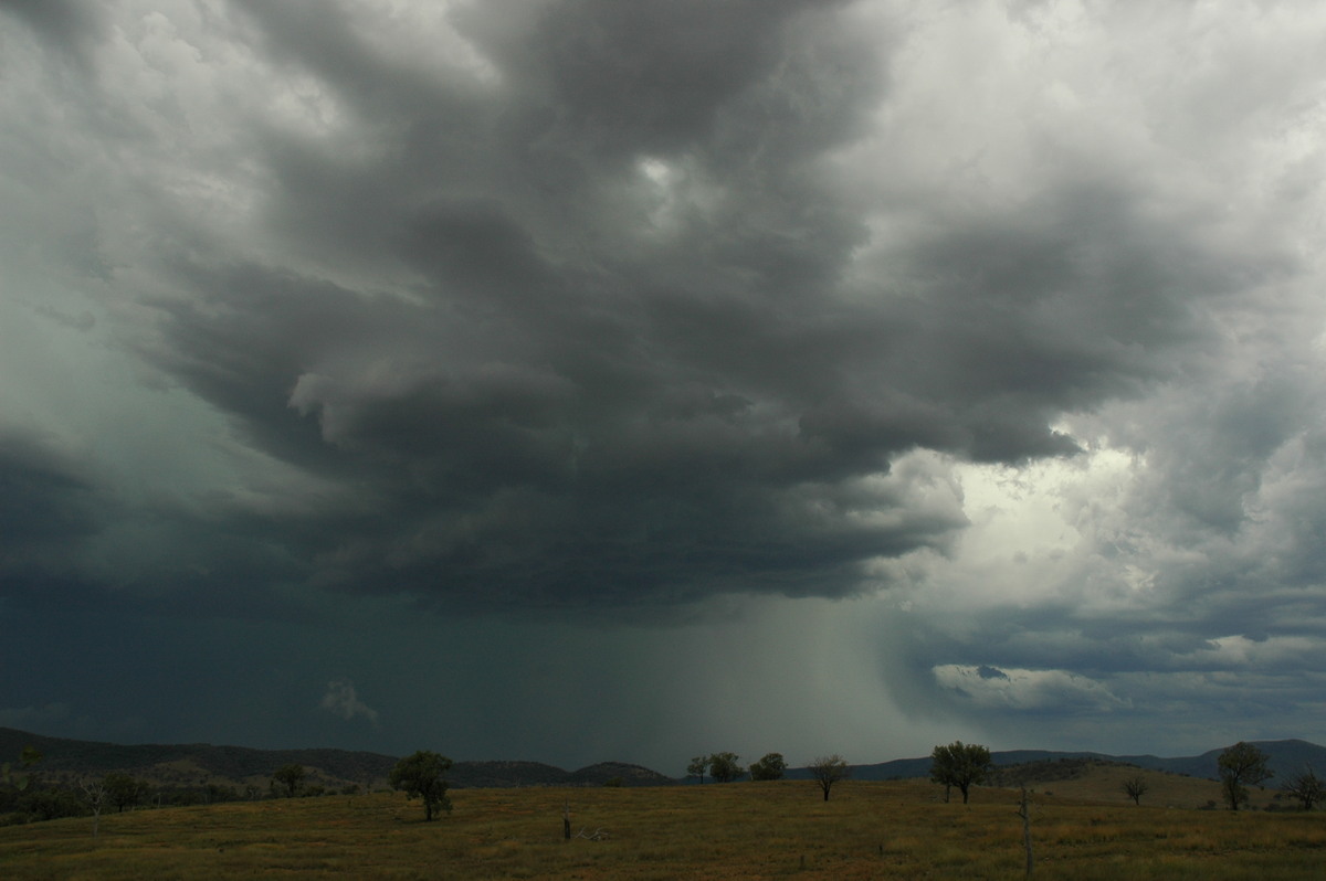 microburst micro_burst : near Bonshaw, NSW   13 January 2007