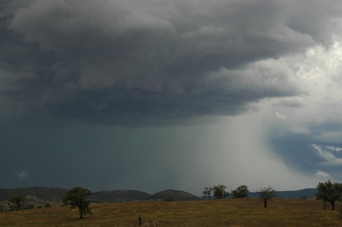 microburst micro_burst : near Bonshaw, NSW   13 January 2007