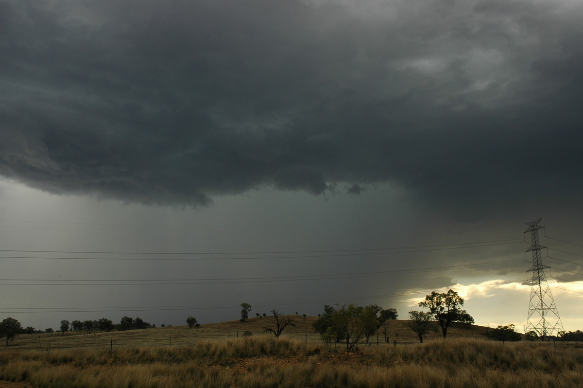 cumulonimbus thunderstorm_base : near Bonshaw, NSW   13 January 2007