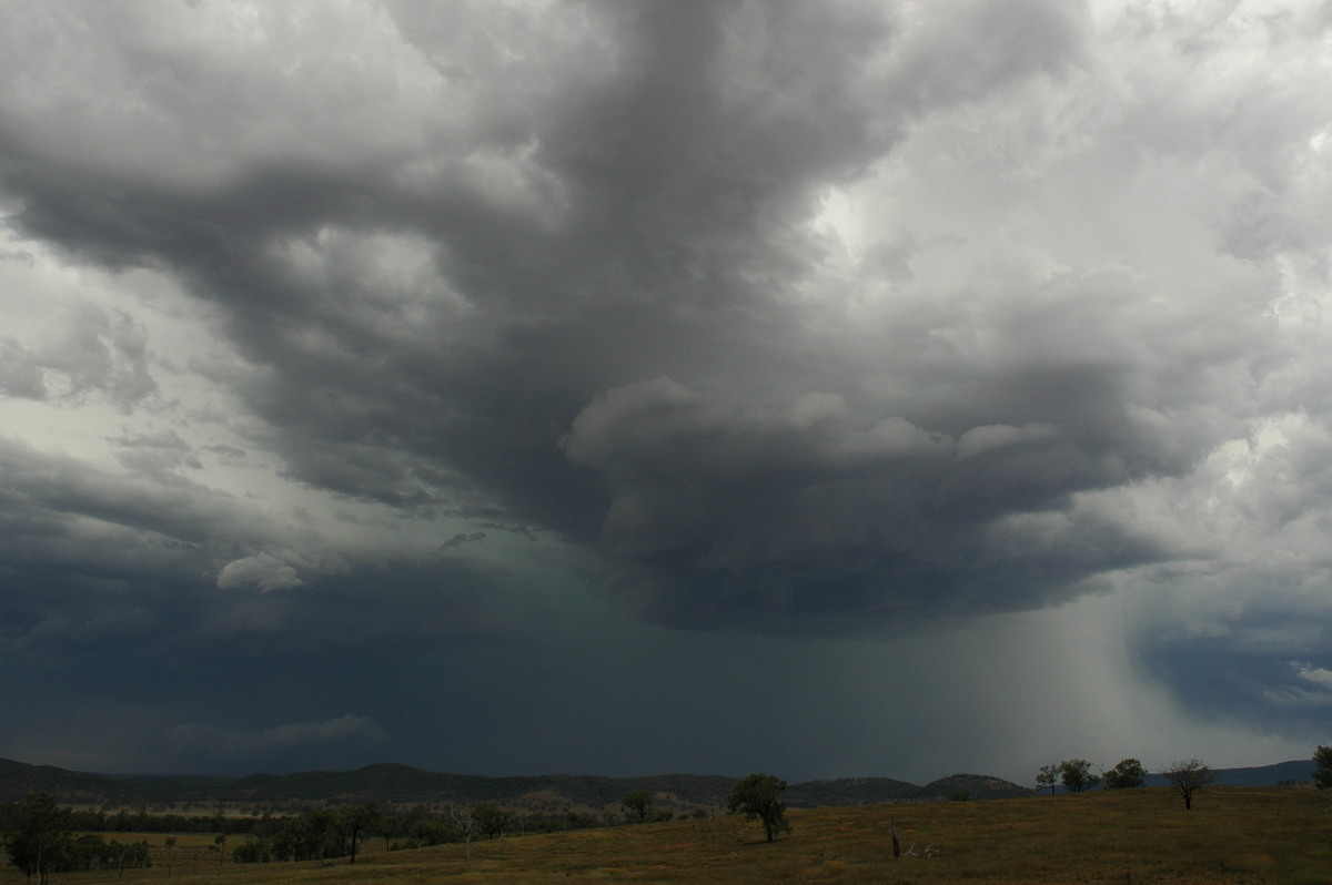 microburst micro_burst : near Bonshaw, NSW   13 January 2007