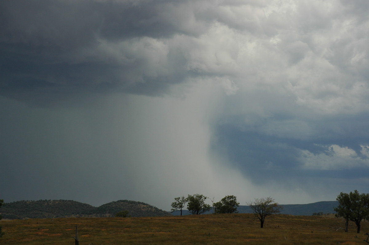 microburst micro_burst : near Bonshaw, NSW   13 January 2007