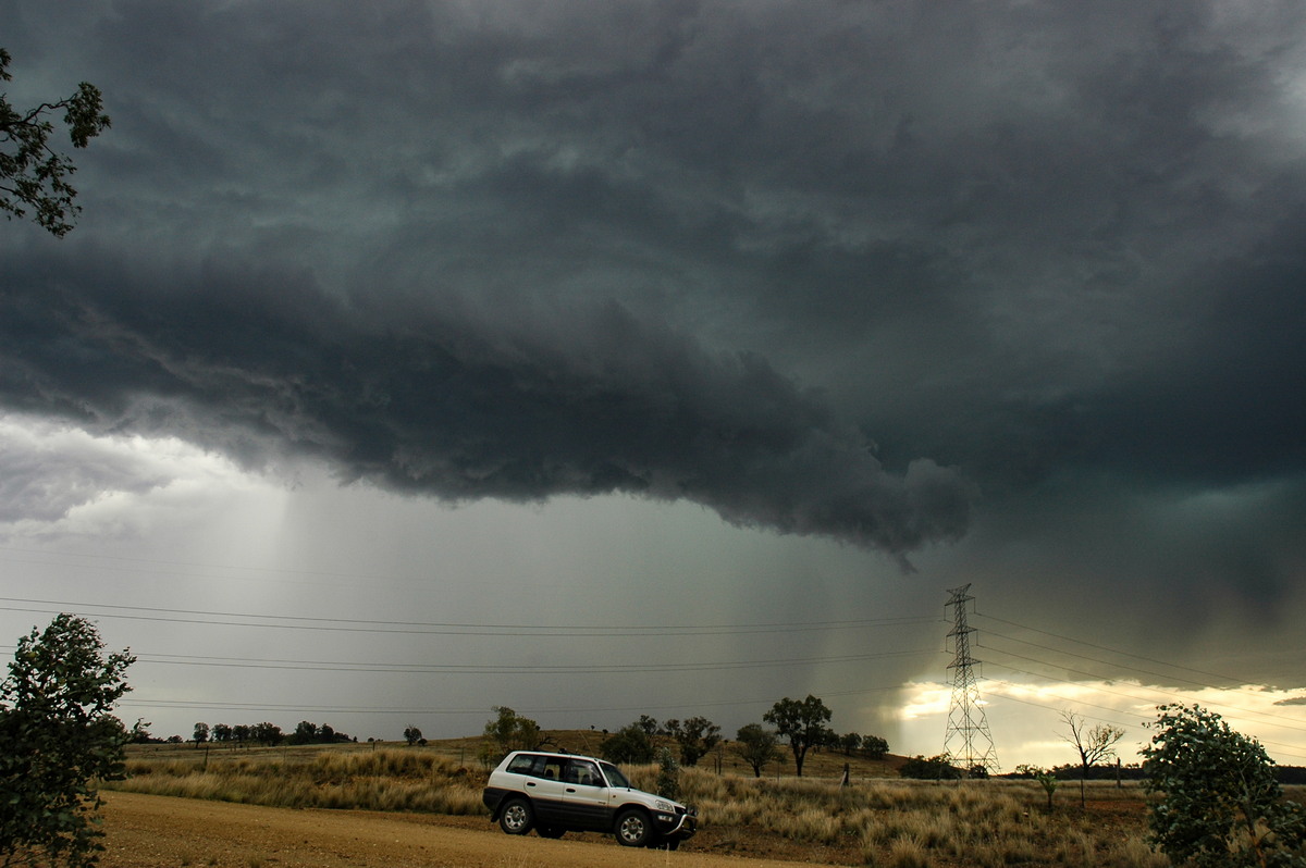 favourites michael_bath : near Bonshaw, NSW   13 January 2007