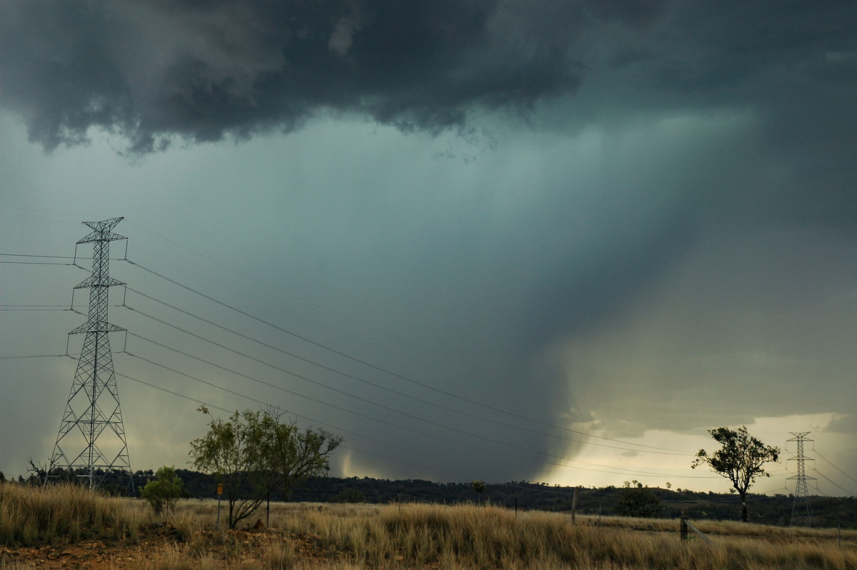 favourites michael_bath : near Bonshaw, NSW   13 January 2007