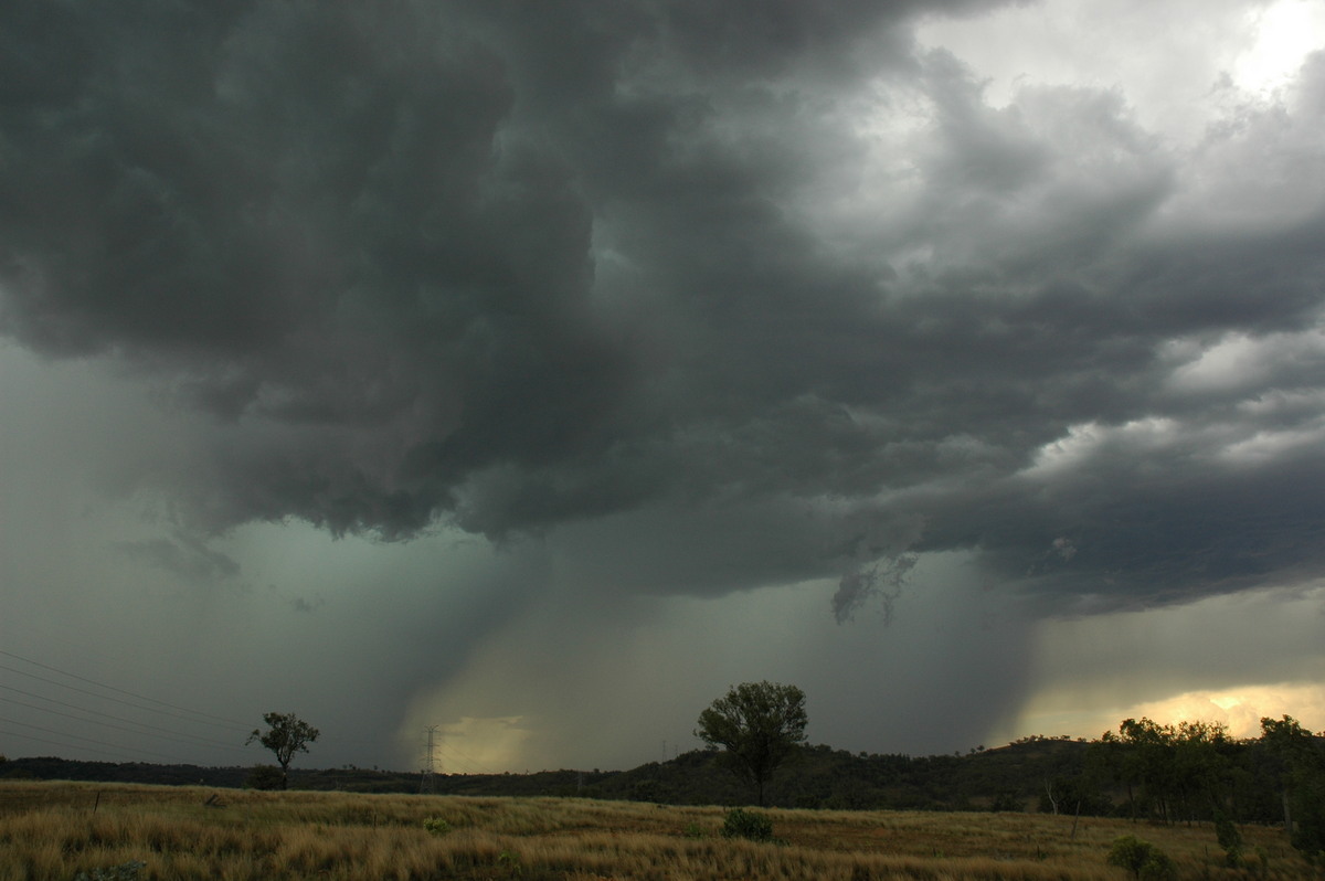 microburst micro_burst : near Bonshaw, NSW   13 January 2007