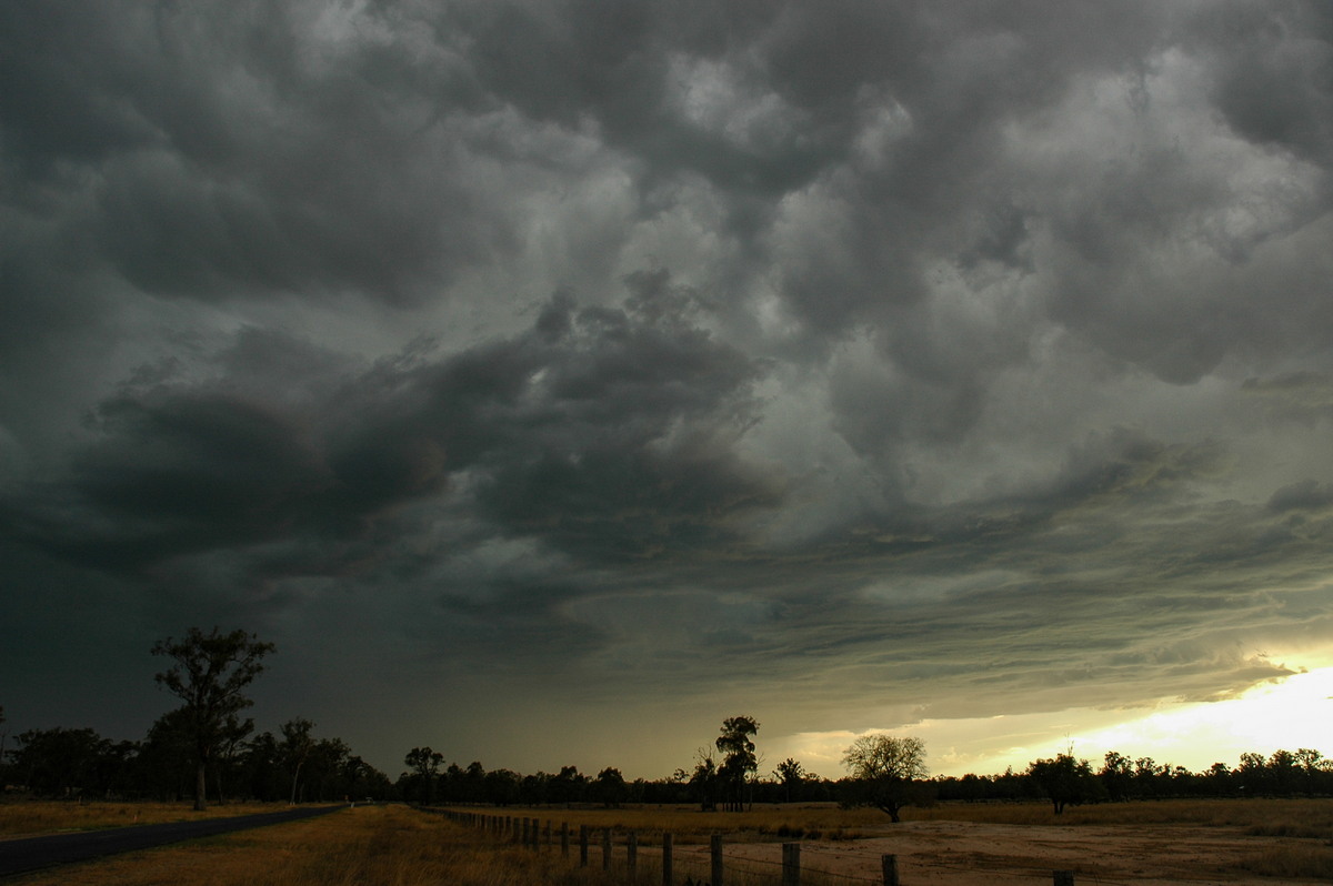 cumulonimbus thunderstorm_base : Inglewood, QLD   13 January 2007