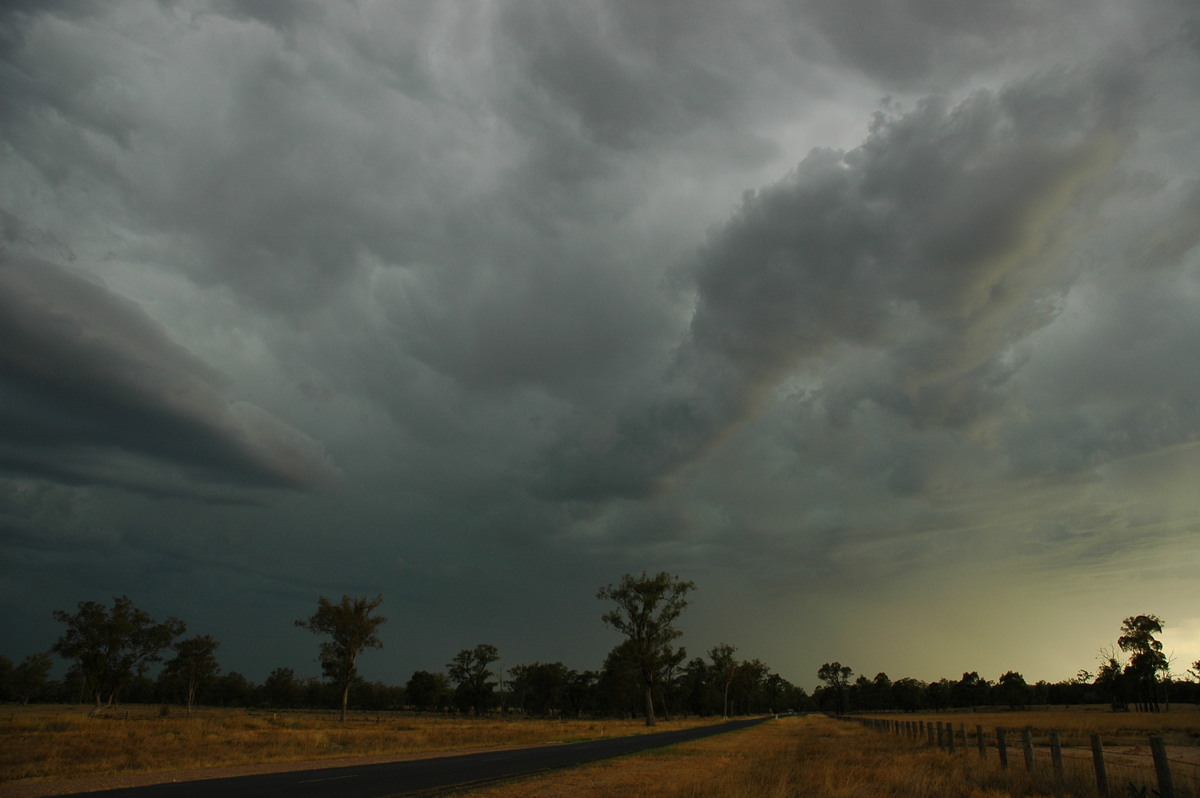 cumulonimbus thunderstorm_base : Inglewood, QLD   13 January 2007