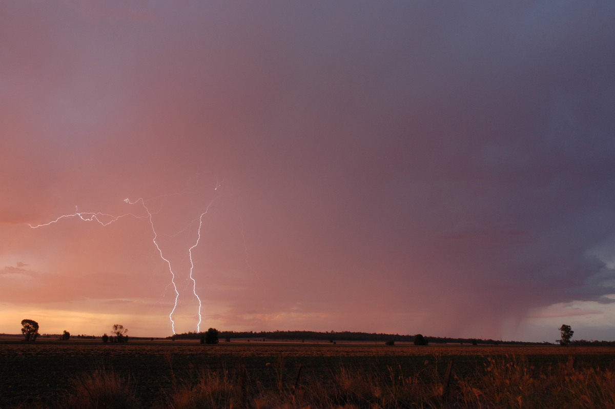 lightning lightning_bolts : near Milmerran, QLD   13 January 2007