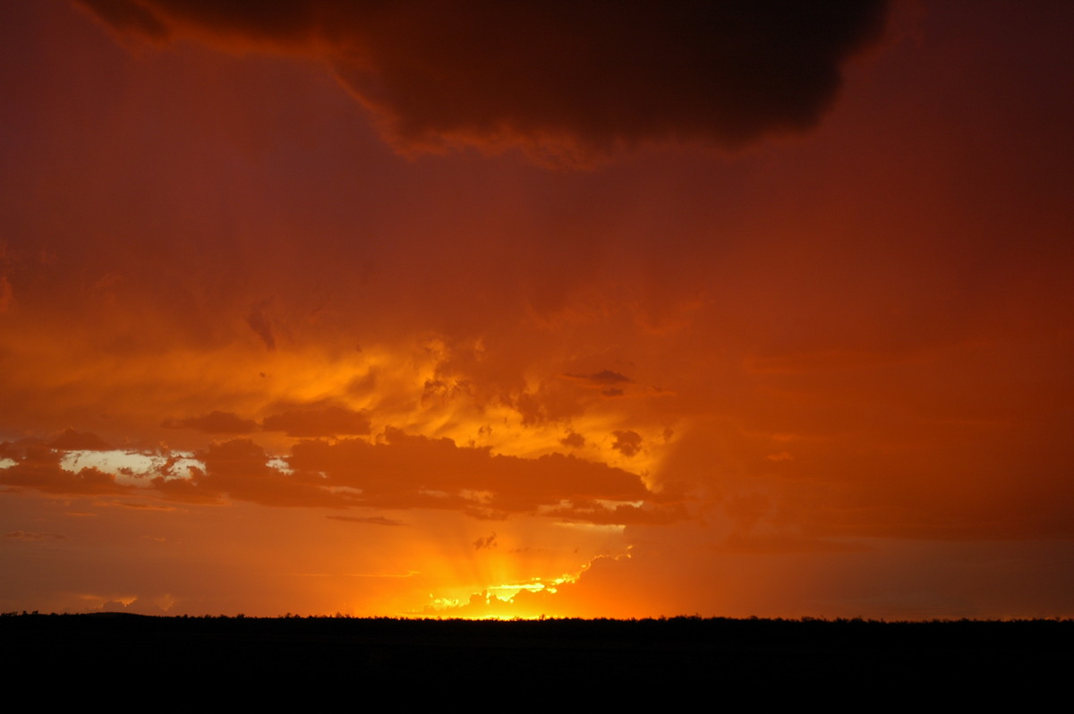sunset sunset_pictures : near Milmerran, QLD   13 January 2007