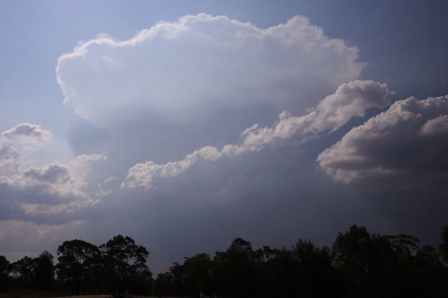 anvil thunderstorm_anvils : 40km W of Millmerran, NSW   14 January 2007