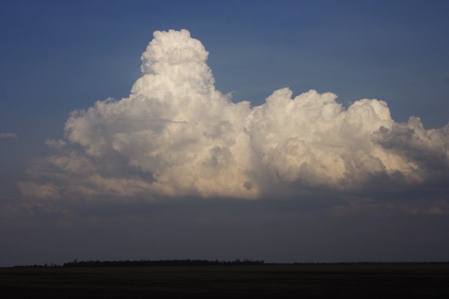 thunderstorm cumulonimbus_calvus : 40km NE of Goondiwindi, NSW   14 January 2007