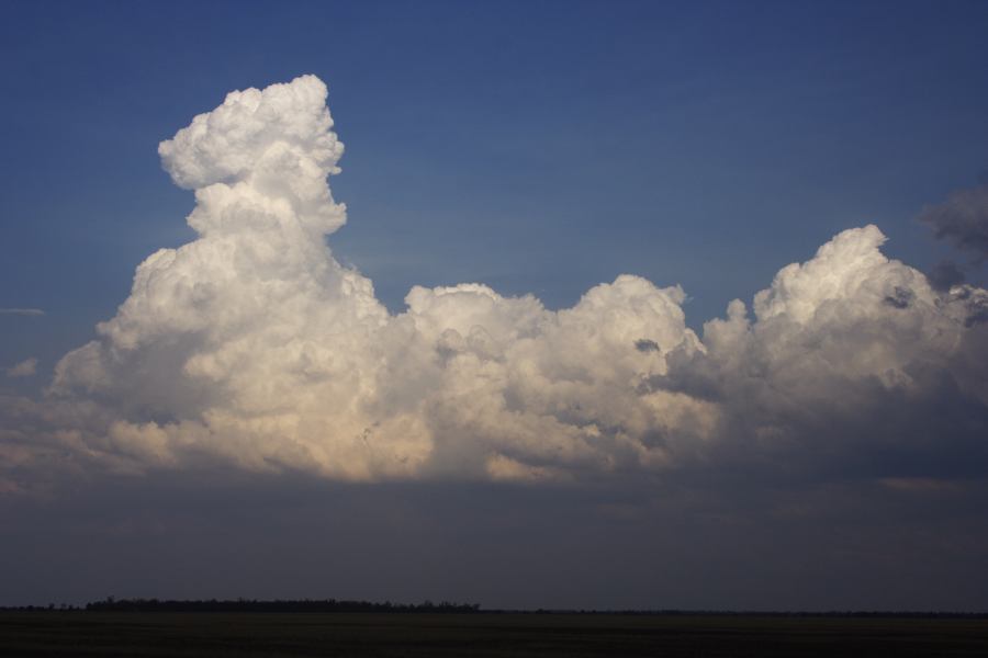 thunderstorm cumulonimbus_calvus : 40km NE of Goondiwindi, NSW   14 January 2007