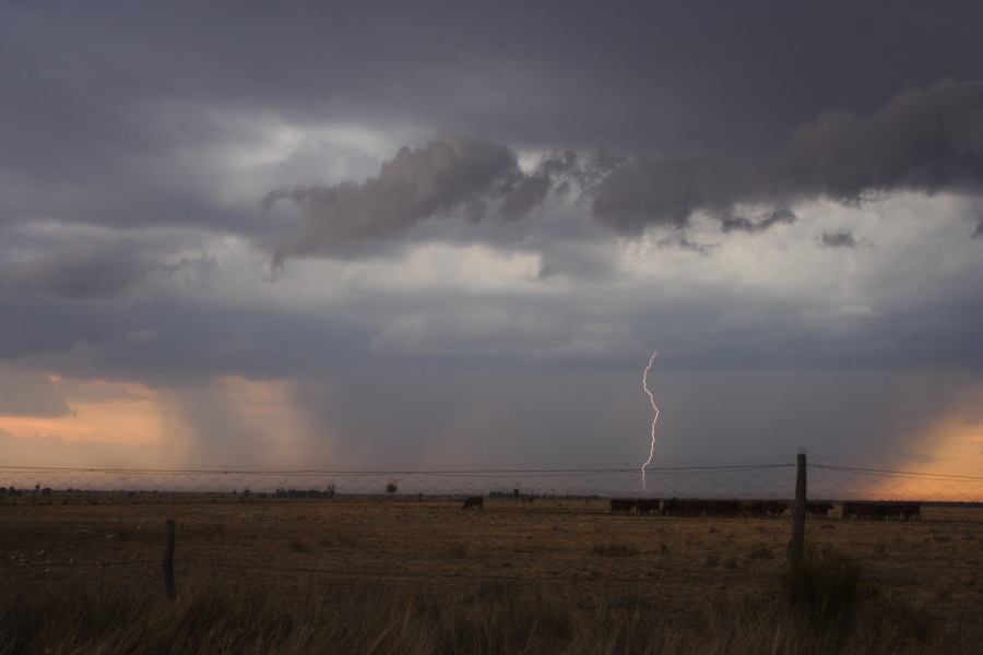 lightning lightning_bolts : 40km N of Goondiwindi, QLD   14 January 2007