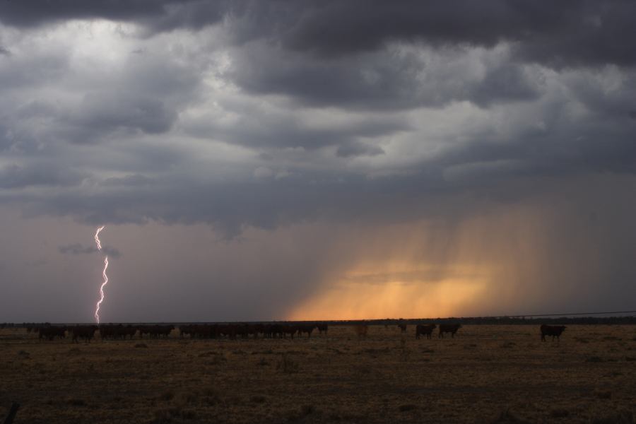 raincascade precipitation_cascade : 40km N of Goondiwindi, NSW   14 January 2007