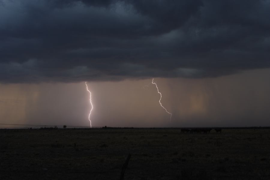 lightning lightning_bolts : 40km N of Goondiwindi, QLD   14 January 2007