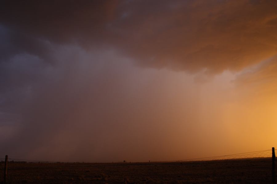 sunset sunset_pictures : 40km N of Goondiwindi, QLD   14 January 2007