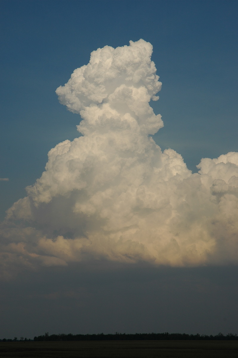 cumulus congestus : N of Goodiwindi, QLD   14 January 2007