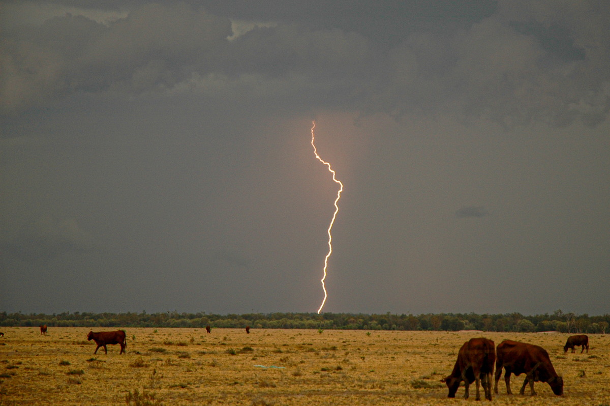 favourites michael_bath : N of Goodiwindi, QLD   14 January 2007