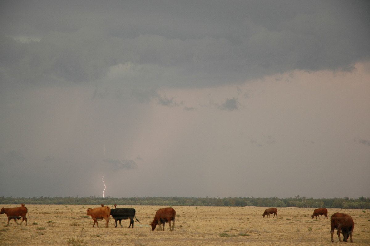 lightning lightning_bolts : N of Goodiwindi, QLD   14 January 2007