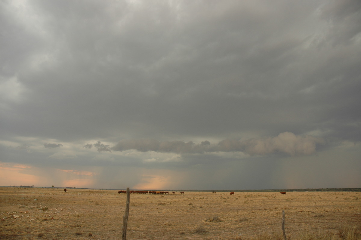 raincascade precipitation_cascade : N of Goodiwindi, QLD   14 January 2007