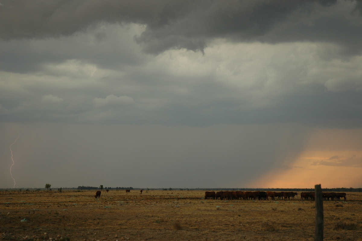 lightning lightning_bolts : N of Goodiwindi, QLD   14 January 2007