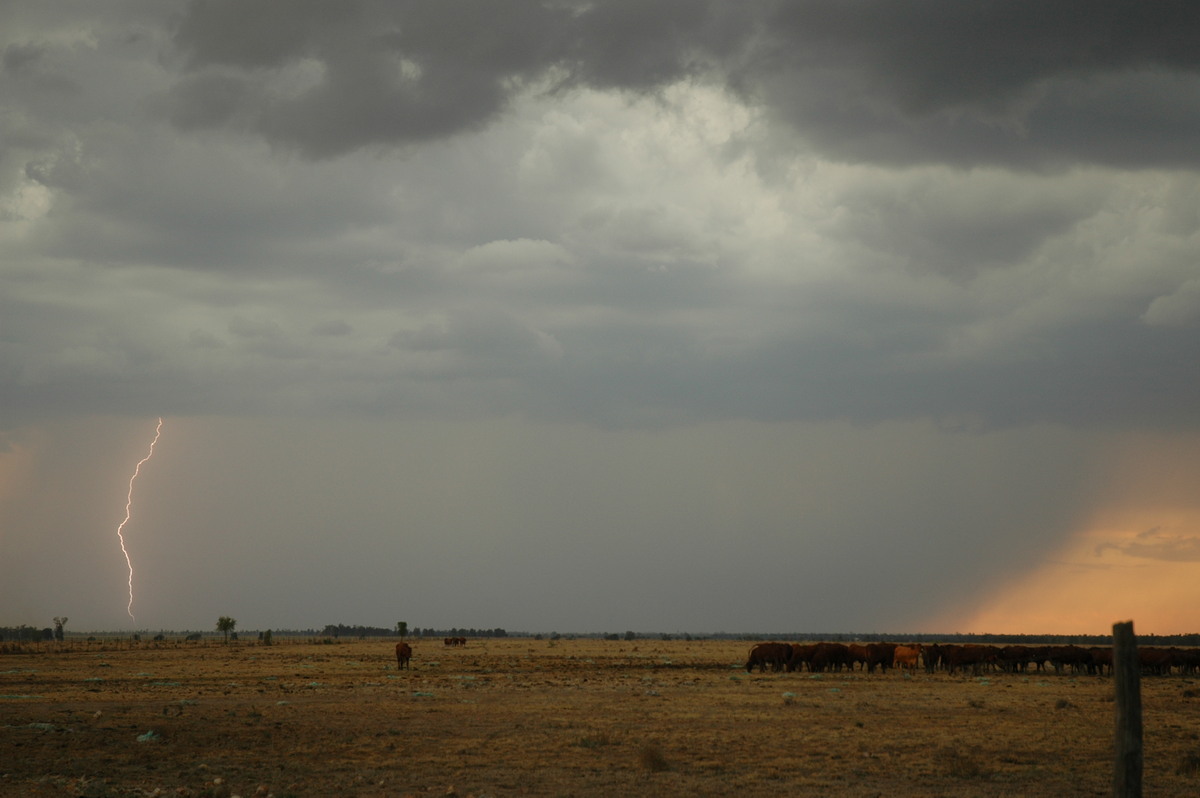 raincascade precipitation_cascade : N of Goodiwindi, QLD   14 January 2007