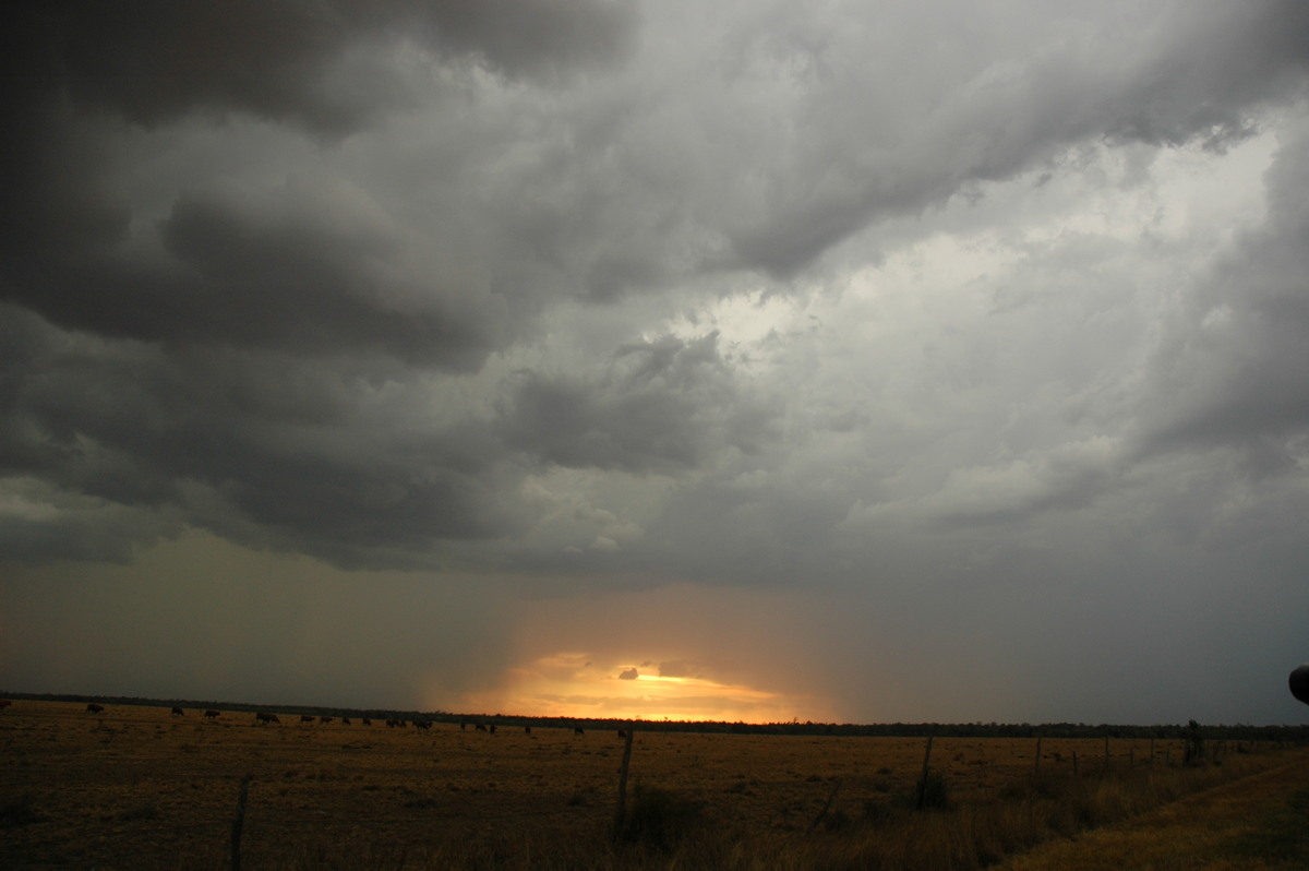 sunset sunset_pictures : N of Goodiwindi, QLD   14 January 2007