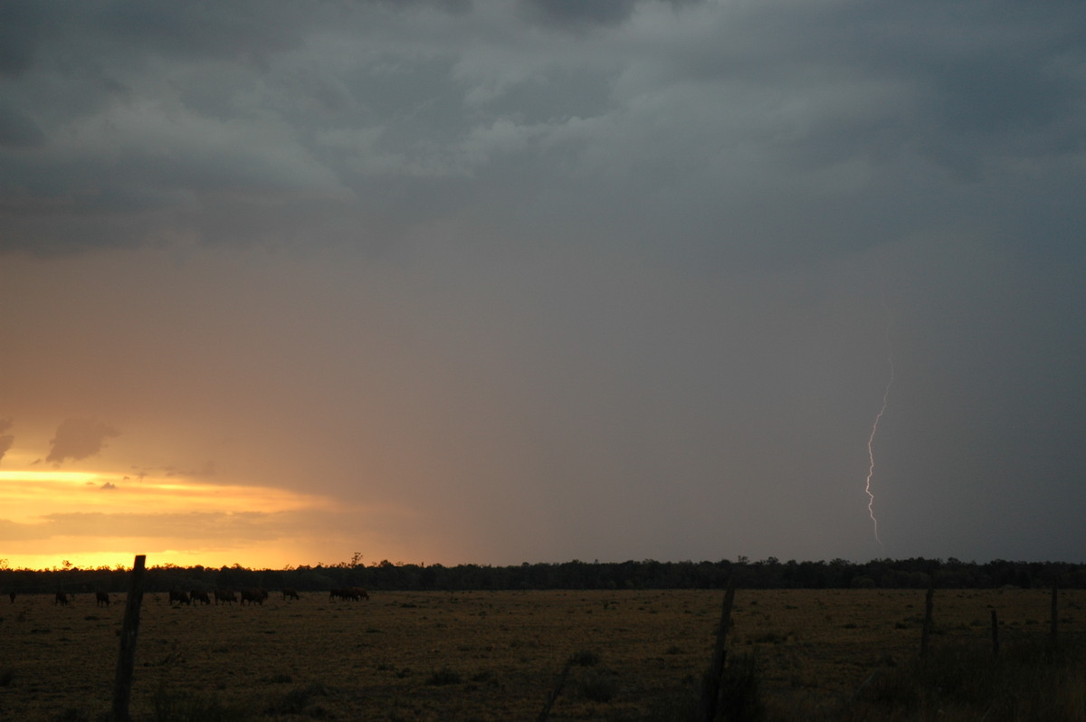 lightning lightning_bolts : N of Goodiwindi, QLD   14 January 2007