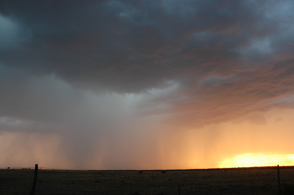 raincascade precipitation_cascade : N of Goodiwindi, QLD   14 January 2007