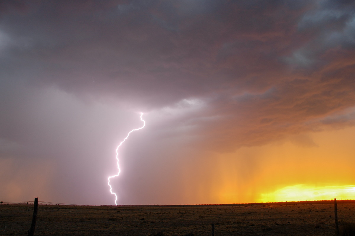 cumulonimbus thunderstorm_base : N of Goodiwindi, QLD   14 January 2007