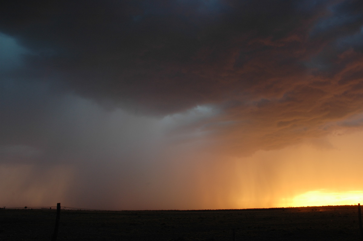 cumulonimbus thunderstorm_base : N of Goodiwindi, QLD   14 January 2007