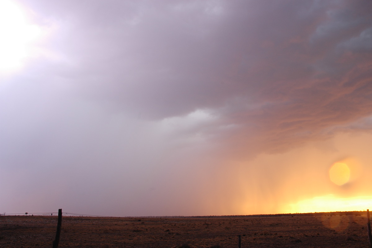 raincascade precipitation_cascade : N of Goodiwindi, QLD   14 January 2007