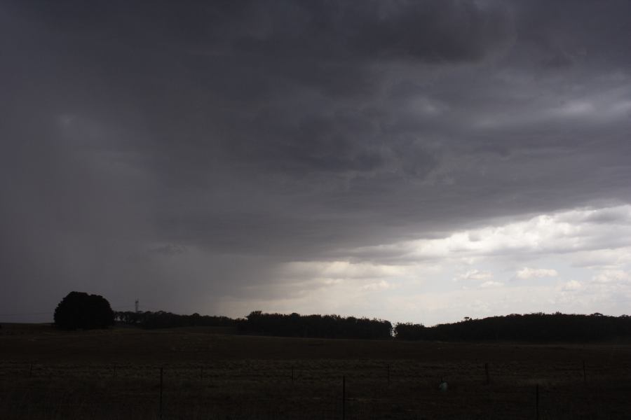 cumulonimbus thunderstorm_base : 20km N of Goulburn, NSW   17 January 2007